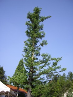 e0096862_14143713.jpg