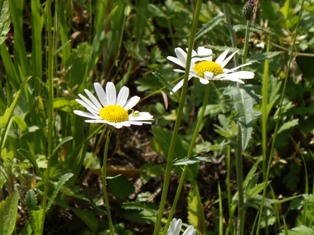e0096862_14193077.jpg