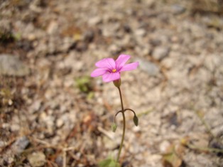 e0096862_14205793.jpg