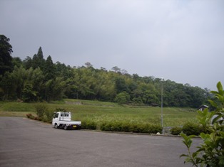 e0096862_142572.jpg