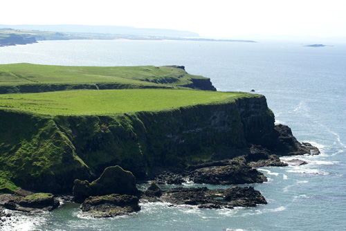 d0119763_843048.jpg