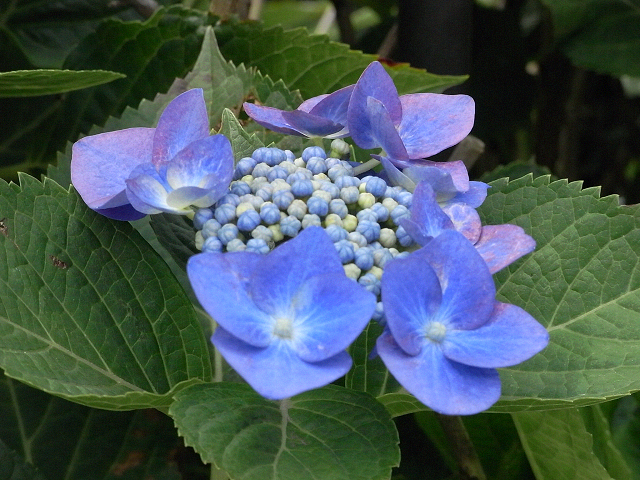 c0158464_2314248.jpg