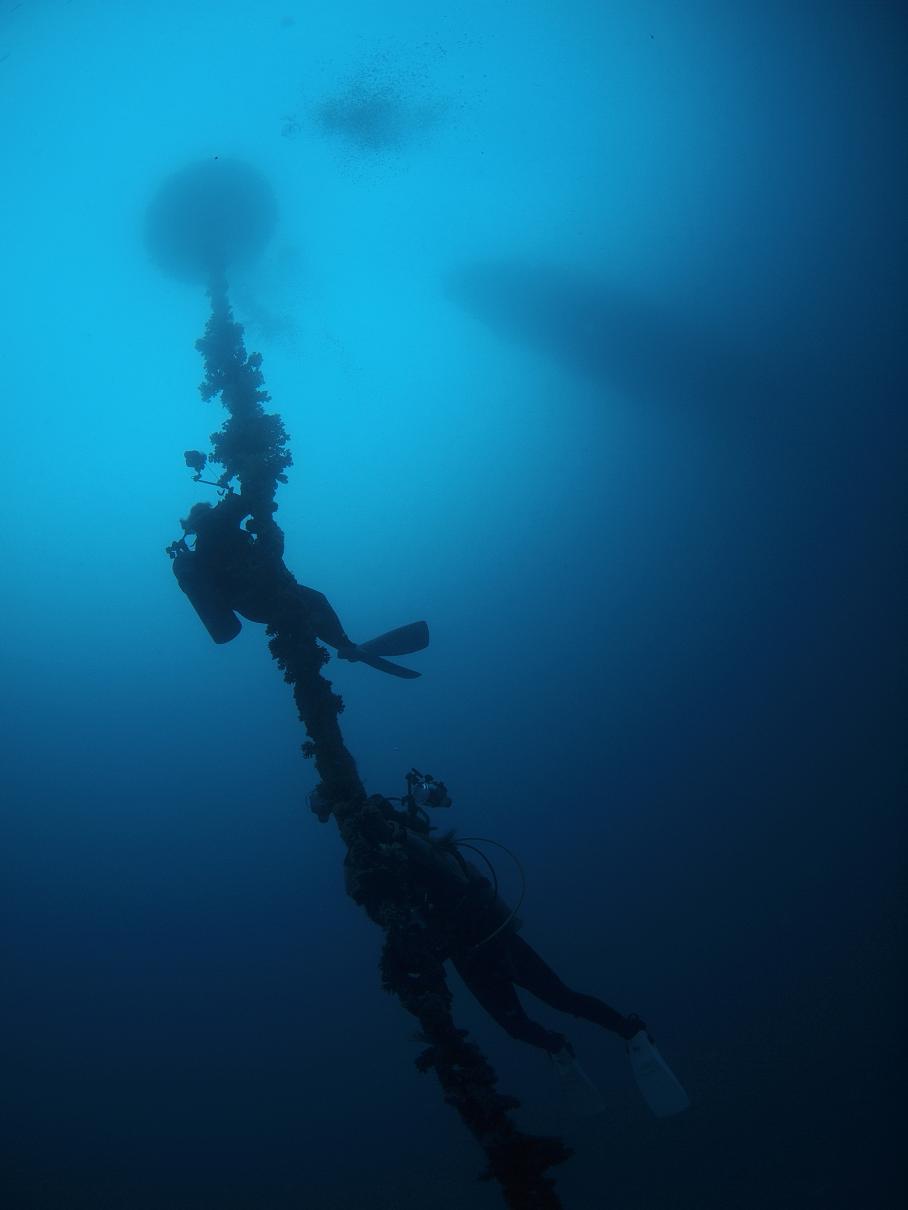b0138768_5262139.jpg