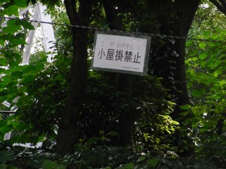 c0090374_148952.jpg