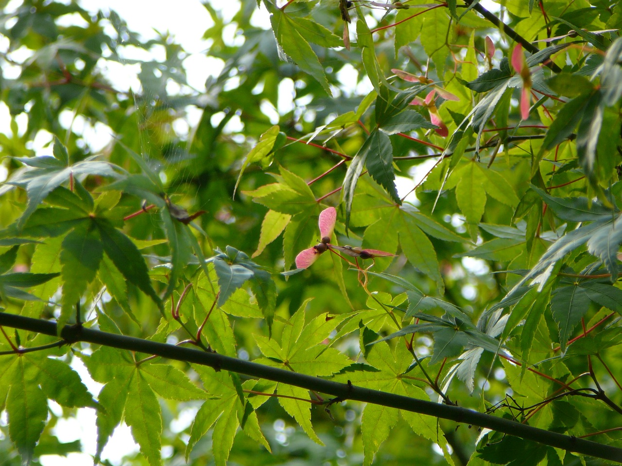 d0104974_16303365.jpg