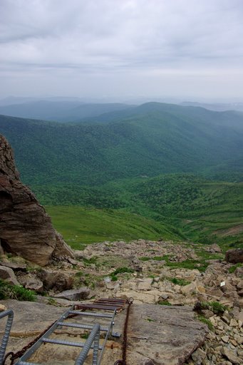 f0054075_15503658.jpg