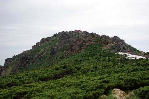 f0054075_15504335.jpg