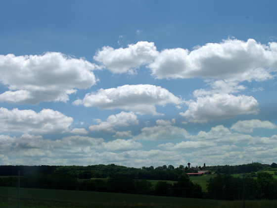 f0172583_1885349.jpg