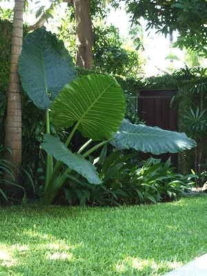 b0101284_20234935.jpg