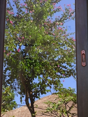 b0101284_20482884.jpg