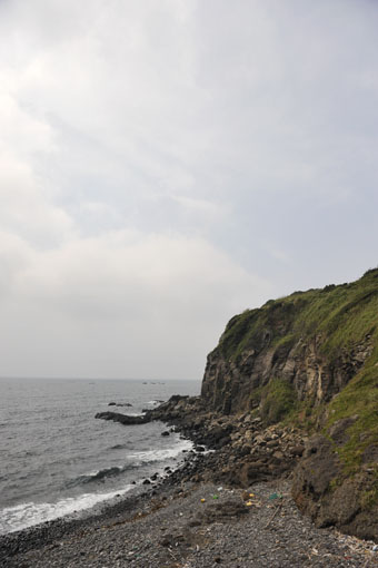 f0112087_225787.jpg