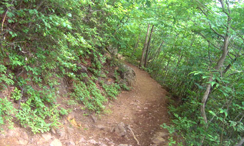 b0099994_1191878.jpg