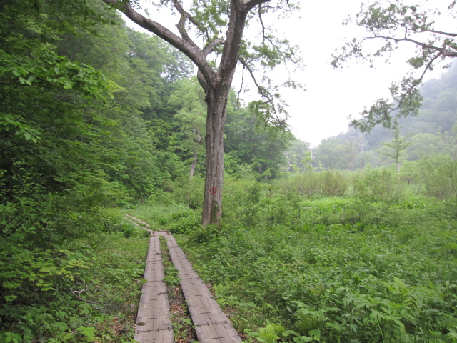 c0133096_18435212.jpg