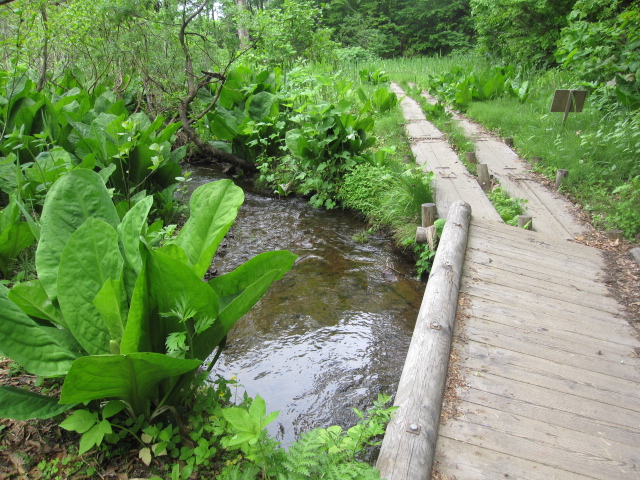 c0133096_18445835.jpg