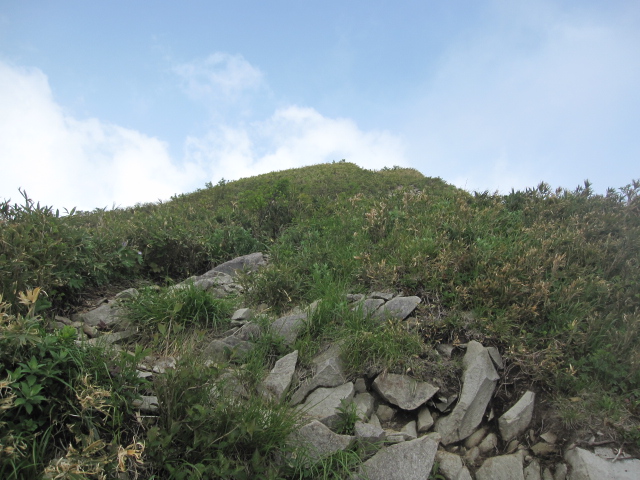 c0133096_19143616.jpg