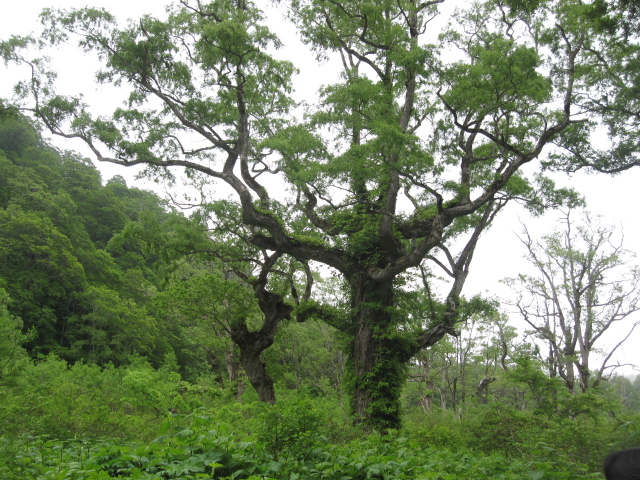 c0133096_1955358.jpg