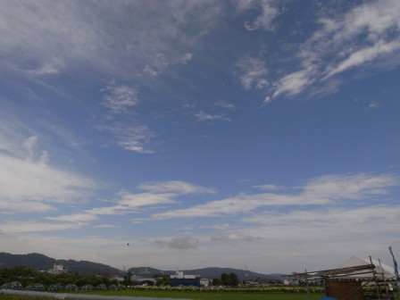 c0158597_16575272.jpg