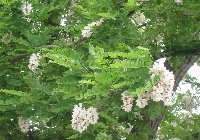 e0122199_21231967.jpg