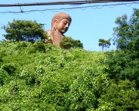 a0031000_23491419.jpg
