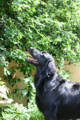 c0050400_1245114.jpg