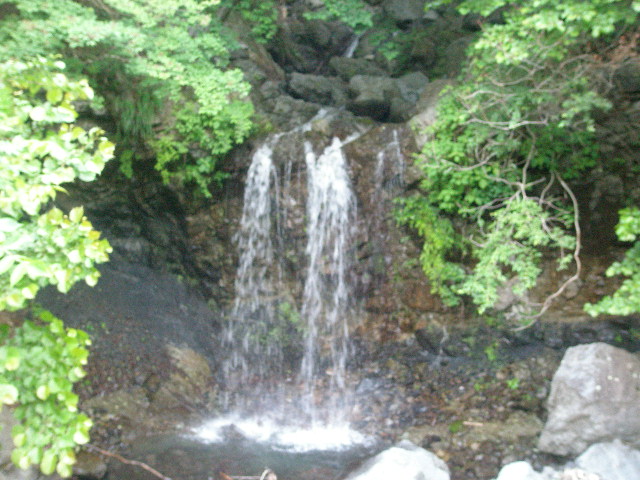 d0151500_20455029.jpg