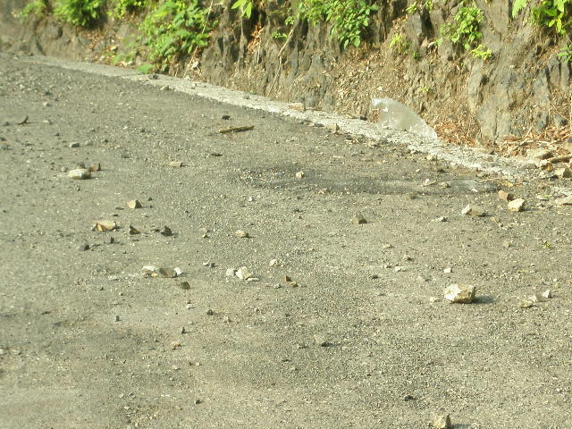 d0151500_2049518.jpg