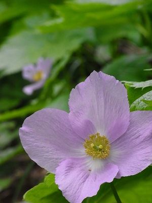 f0157901_20472329.jpg