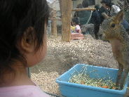 c0088402_22234795.jpg