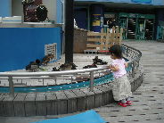 c0088402_2230453.jpg