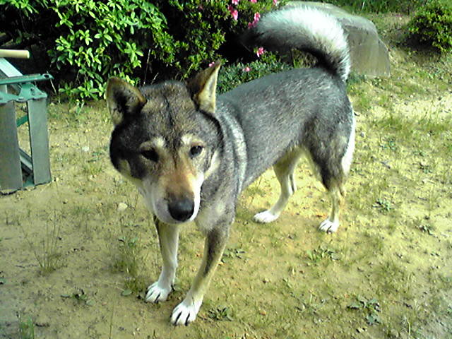 f0079202_15544555.jpg