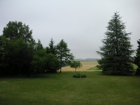 c0162007_4482144.jpg