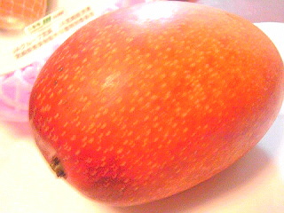 a0052621_22493373.jpg