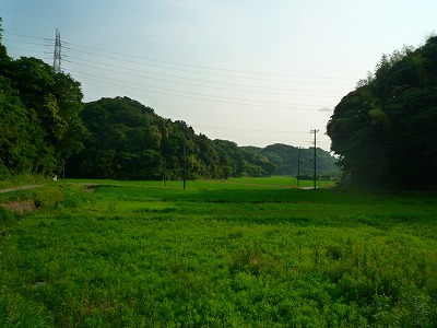 d0023323_013851.jpg
