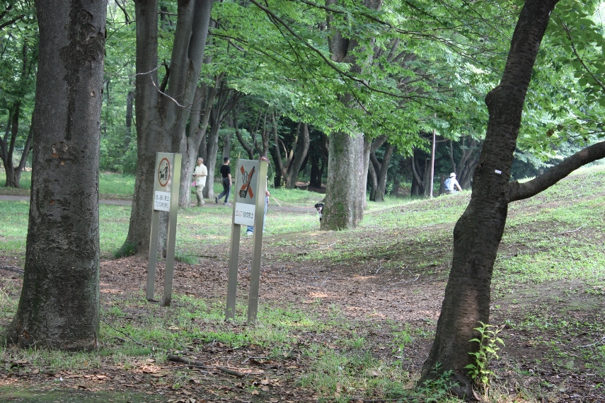 e0162524_2175331.jpg