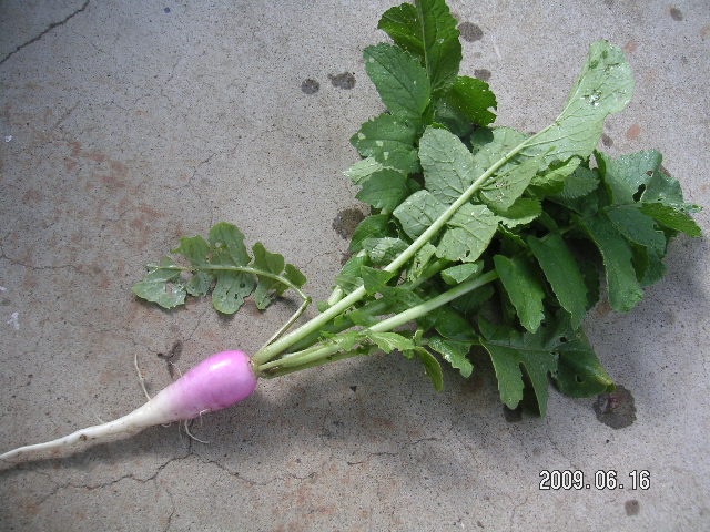 a0020929_16493027.jpg