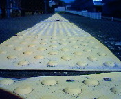 a0127830_524111.jpg