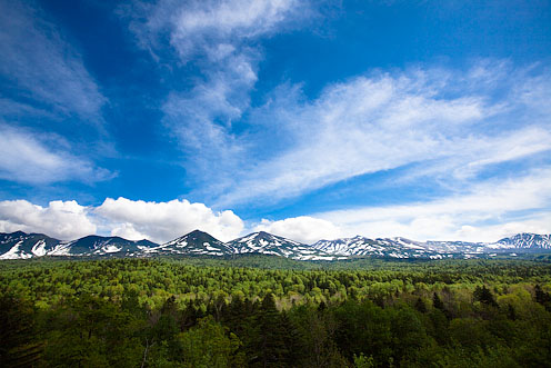 e0025030_179201.jpg