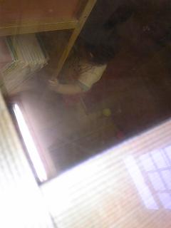 e0036931_940636.jpg