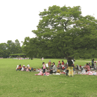 d0033734_10242819.gif