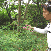 d0033734_10293760.gif