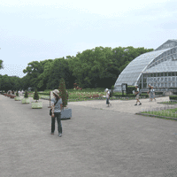 d0033734_10302715.gif