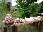 b0182535_10193687.jpg
