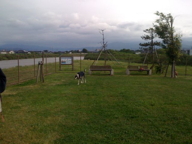 f0039538_2131077.jpg