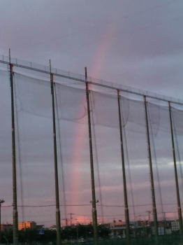 b0001440_16553648.jpg