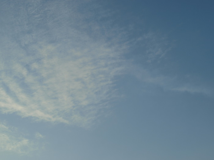 c0072843_18495912.jpg