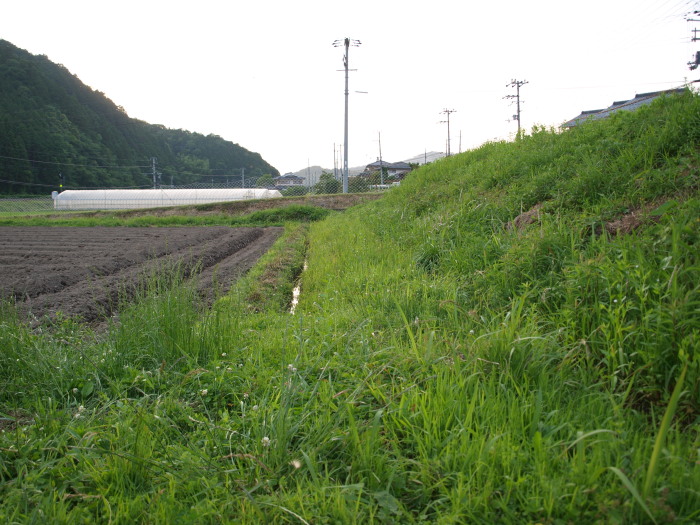 c0072843_1850660.jpg