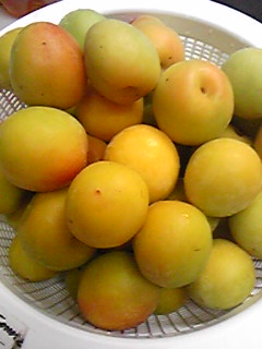 e0087443_22575226.jpg