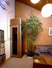 e0150849_959298.jpg