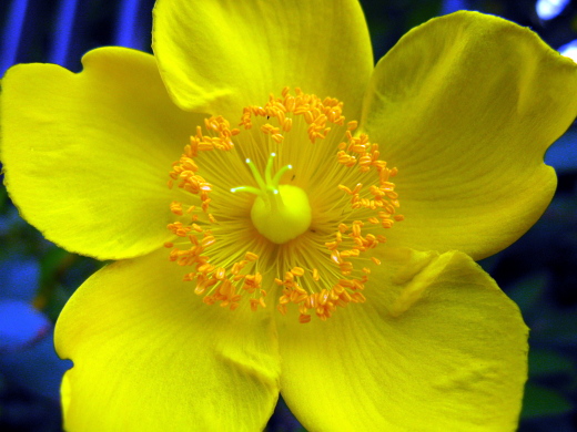 e0050753_2291747.jpg