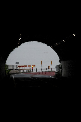 e0050753_832377.jpg